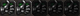 pC6ut8F.jpg