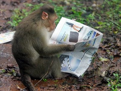 MonkeyReadsPaper.jpg