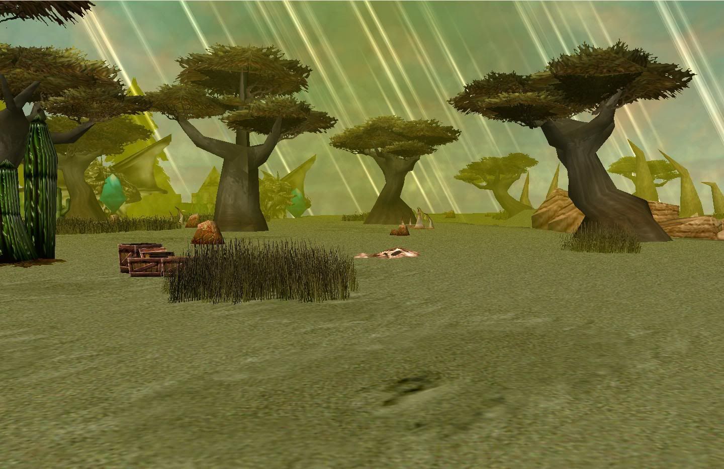 DesertCamp2.jpg
