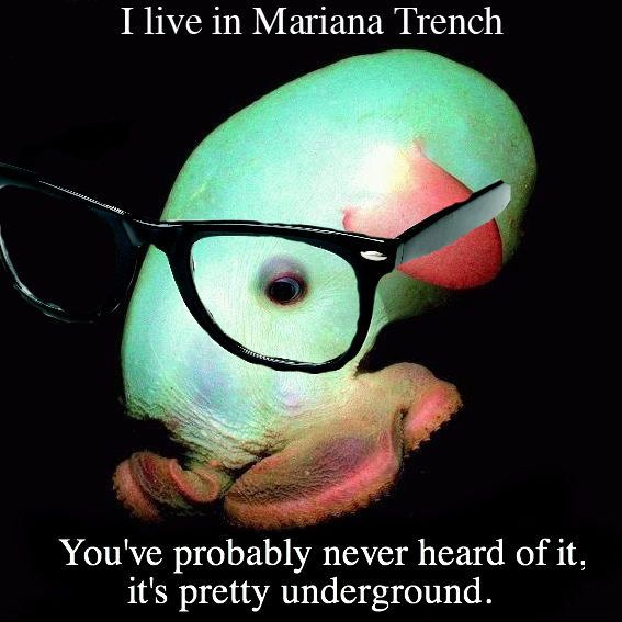 7cb3f2806241306f4cc300e6843848dd--mariana-trench-geek-humor.jpg