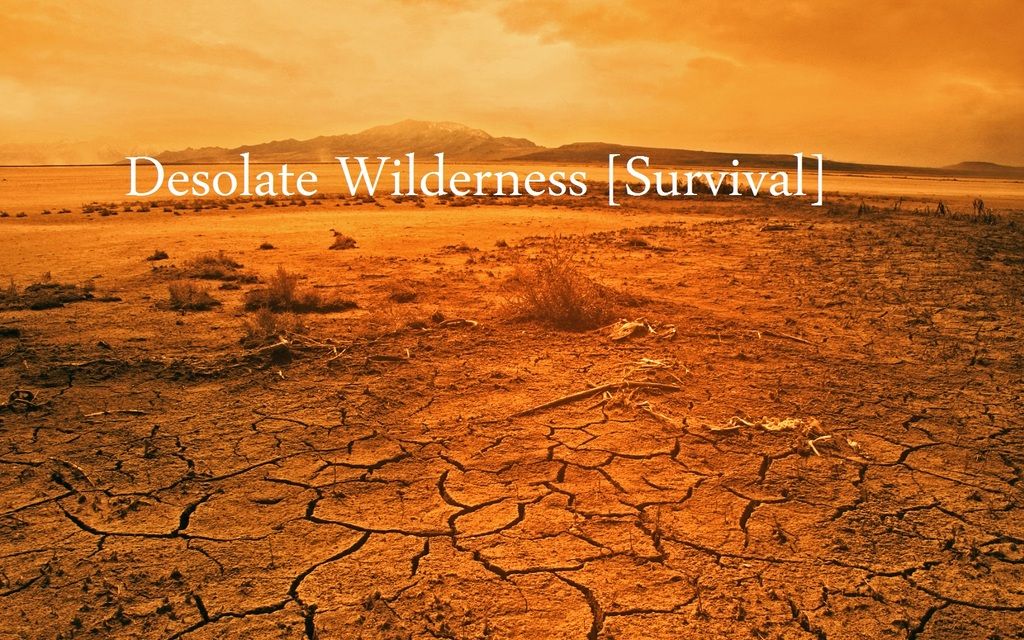 wilderness-photo.jpg