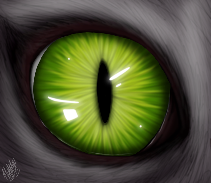 cat__s_eye_by_the_zombie_cat-d5r4a82.png