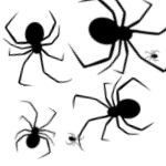 Scattering_Spider_by_bertman.gif