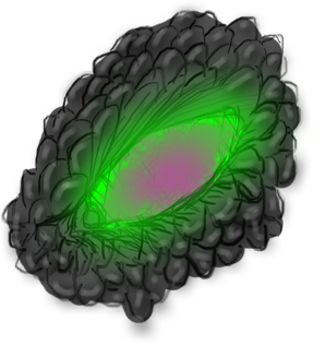 Eye1Finished.png