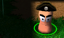 PirateHat.png