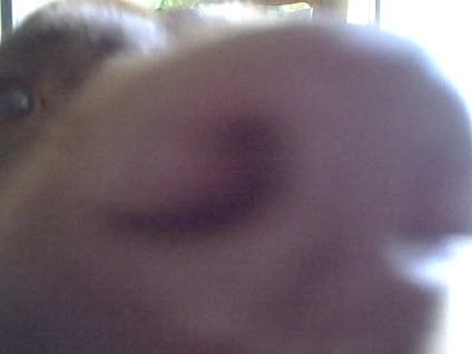 Apr022007-VID00001-1.jpg