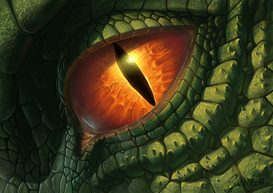 Dragon_Eye_v2010_by_SulaMoon.jpg