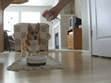 ojl6K.gif
