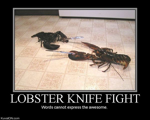 lobster_knife_fight.jpg