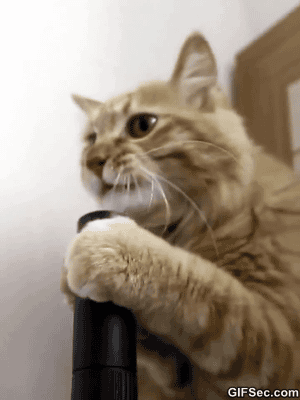 db9b80b760faac7c6b731aeacec77724.gif