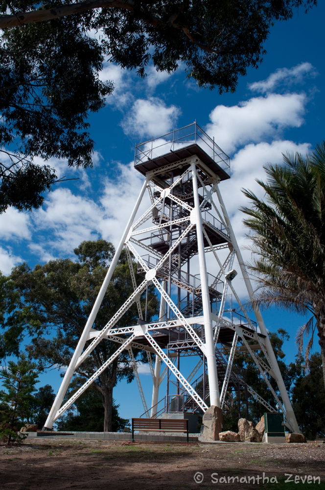 bendigo_by_the_monstrum-d636i32.jpg