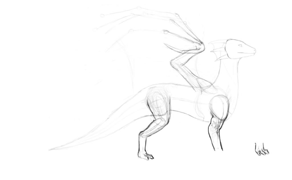Pyritierefsheet-1.jpg