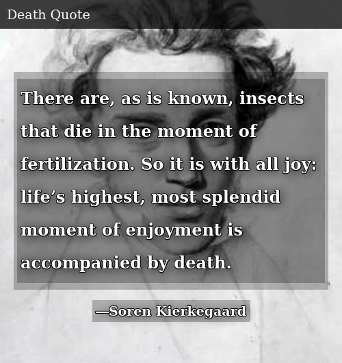 there-are-as-is-known-insects-that-die-in-the-54742654.png