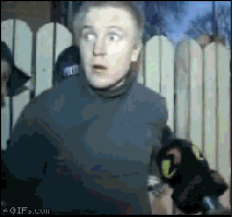158487-albums5564-picture64562.gif