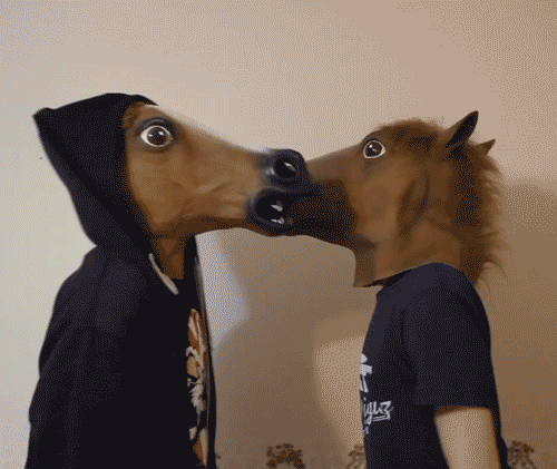 tumblr_m062h0vEpd1qlvcrno1_500.gif
