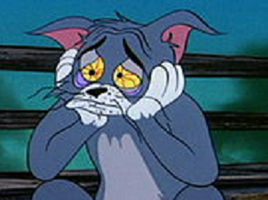 158487-albums5564-picture71736.png