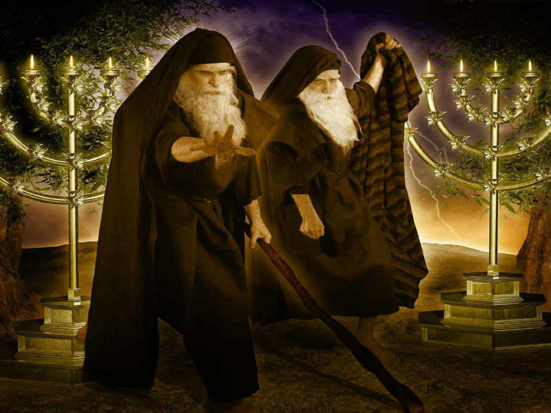 2-witnesses.jpg