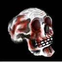 Bloody%20Skull.jpg