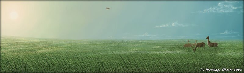 narfost_plain.jpg