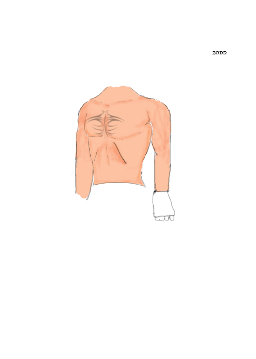 body-wip-2.png