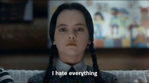 i-hate-everything.jpg