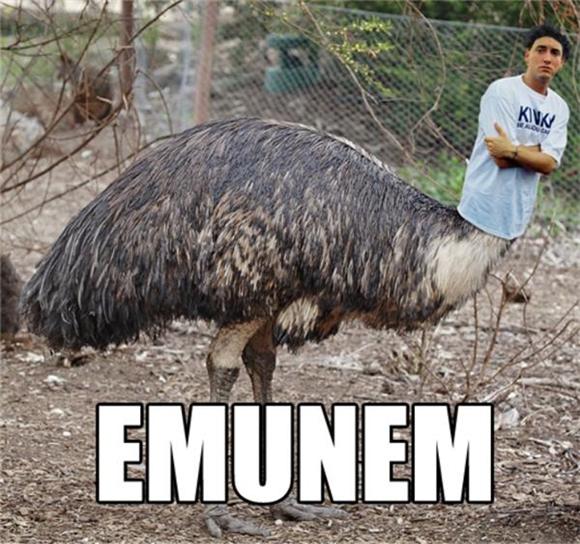 emunem-580.jpg