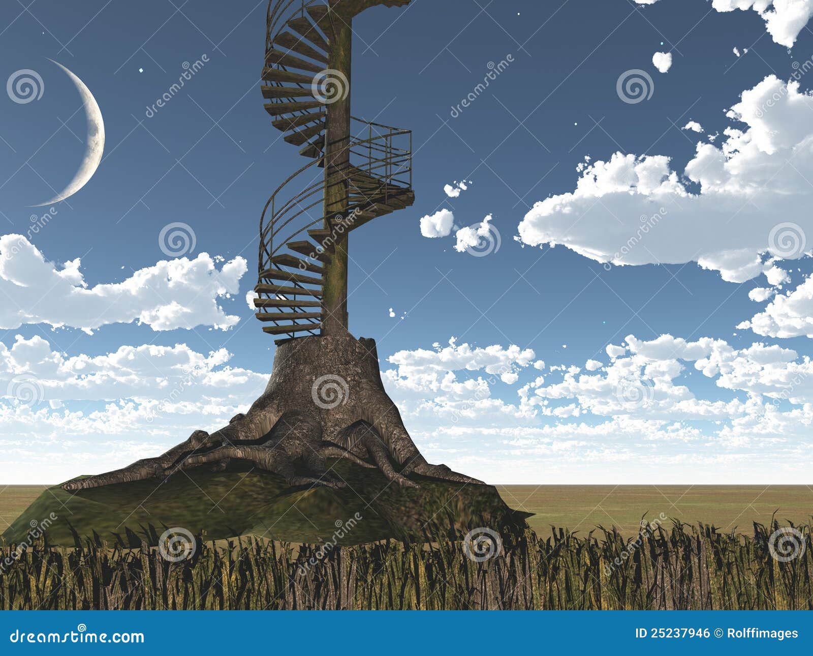 tree-circular-stairs-25237946.jpg