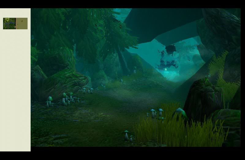 Forest2.jpg