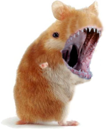 Killer_hamster_by_palmovish.png
