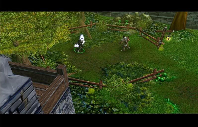 EverwoodPreview5.jpg