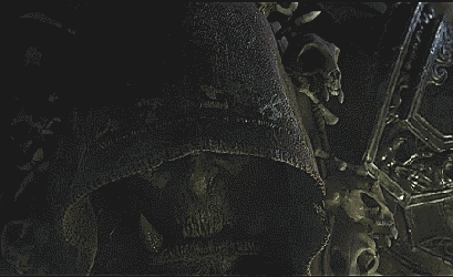 231443-albums6971-picture91127.gif