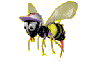 animated-bee.gif