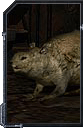 wolfrats_sml.gif