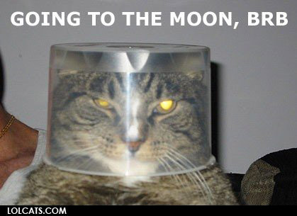 lolcatsdotcom8b9kuycn4t0n59dz.jpg