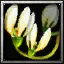 icons_1039_btn.jpg
