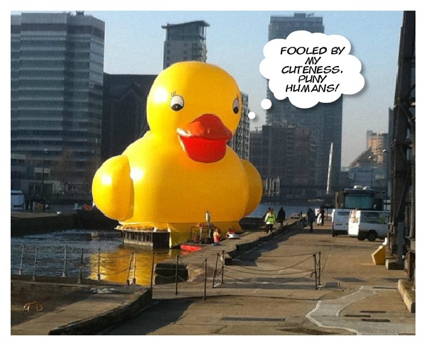 cute-yellow-duck.jpg