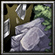 188531-albums8449-picture101895.jpg