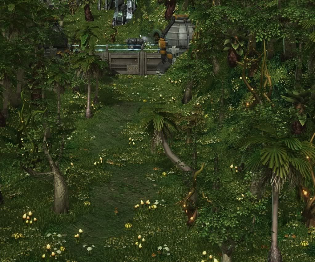 SC-Valley1.jpg