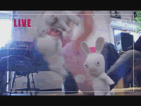 3639096739.gif