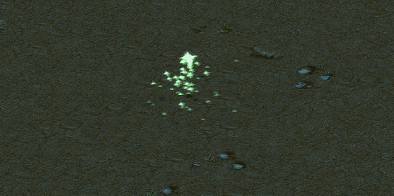 gif3.jpg