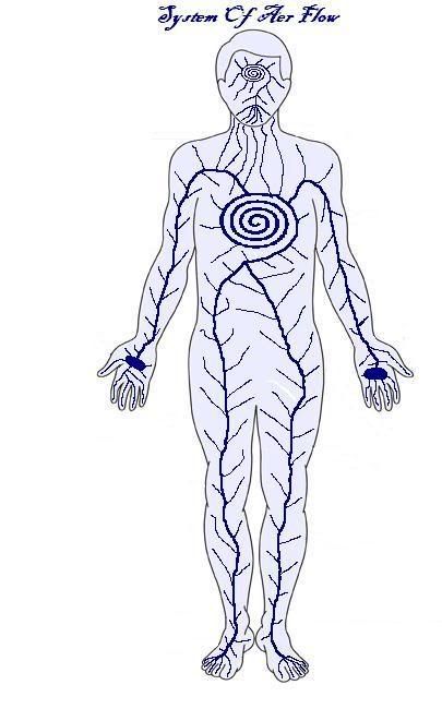 SystemOfAerFlow.jpg