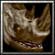 188531-albums8449-picture101870.jpg