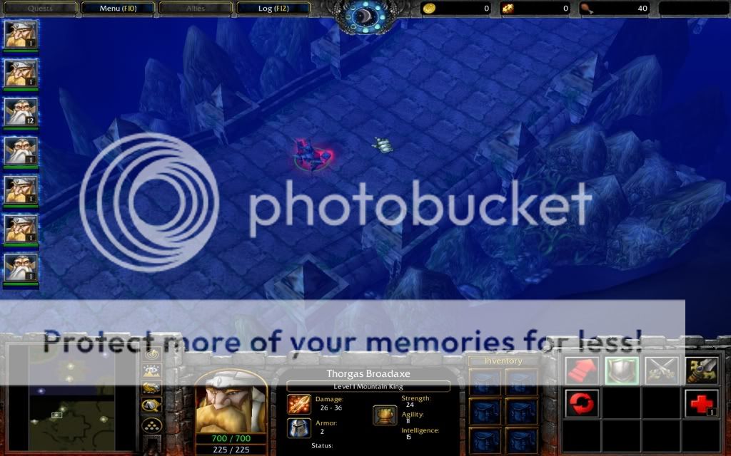 WC3ScrnShot_040909_135307_01.jpg