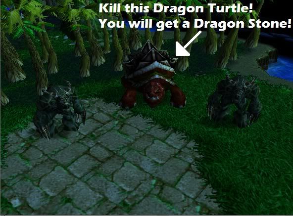 dragonturtlesecret_zps933db9fe.jpg