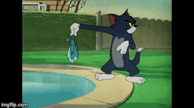 tom-and-jerry-tom.gif