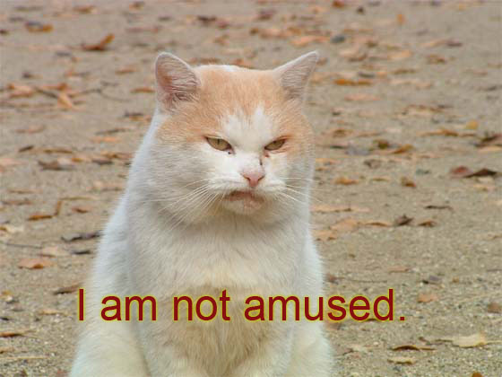 1174329819-not_amused.b.jpg