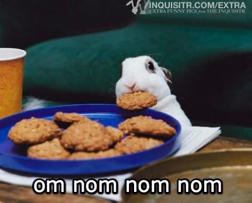 om-nom-nom-nom1.jpg