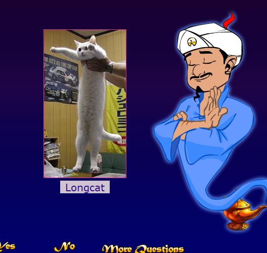 Capture-20.png
