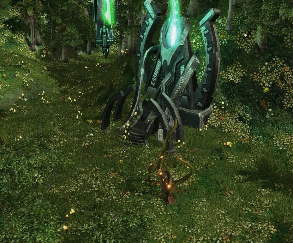 SC-Valley7.jpg