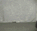ninja3.gif